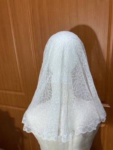 Blessed Virgin Mary veil