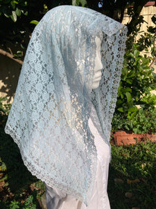 Mary’s Assumption